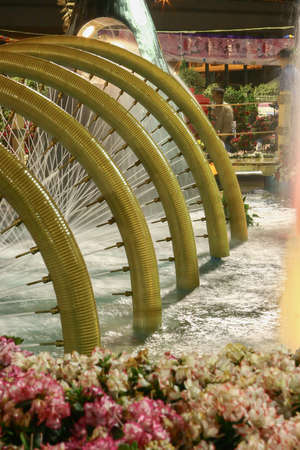 19 March 2005, the Hong Kong Flower Show at Victoria Park, Hong Kongの写真素材