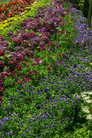 Lawn and Formal Garden, Flowerbed In The Garden