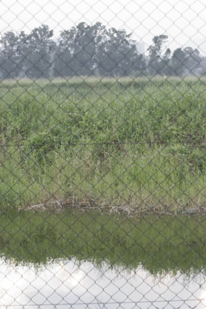 13 Nov 2005 the wetland at Nam Sang Wai, Yuen Longの写真素材