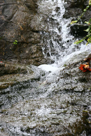 27 March 2005 the Waterfall at hong kong park, hk