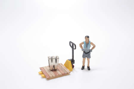 the mini figure woman using Hand Pallet Truck