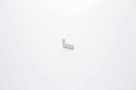 the mini of figure cat on the boardの写真素材