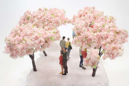 mini lover figure at Gourgeous cherry trees in full blossom