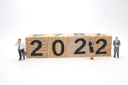2022 Word with Wooden Cubes with mini figure