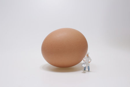 the group of mini chef and eggs on board