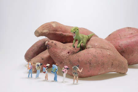 a dragon Invasion, the mini travellers or backpackers on sweet potatoの写真素材