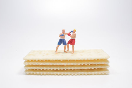 the mini figure Boxers in action on Crackersの写真素材