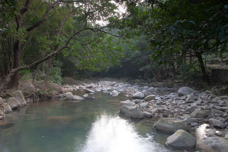 the small pond at the uppon river, Shing Mun Reservior
