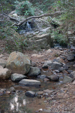 the landscape of Shing Mun Reservior Creek