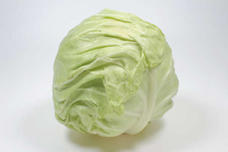 the green cabbage on the white back groundの写真素材
