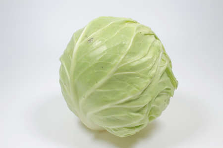 the green cabbage on the white back groundの写真素材