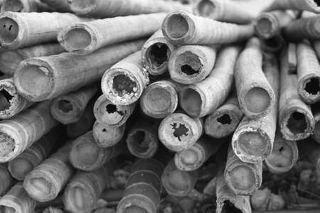 Pile of dry bamboo sticks at out doorの写真素材