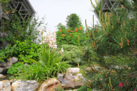the thai style Courtyards at the flower show