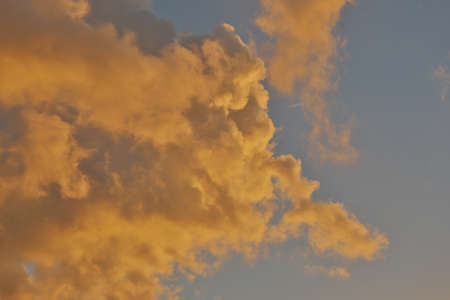 the Gold cloud sky soft light with  summer morning