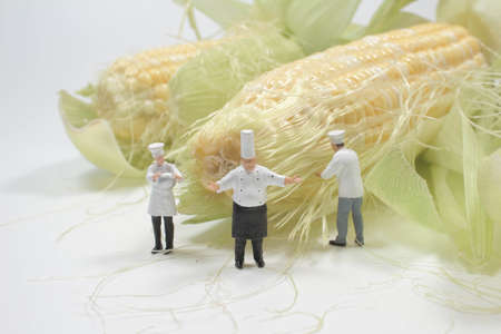 the group of figure chef on the cornの写真素材