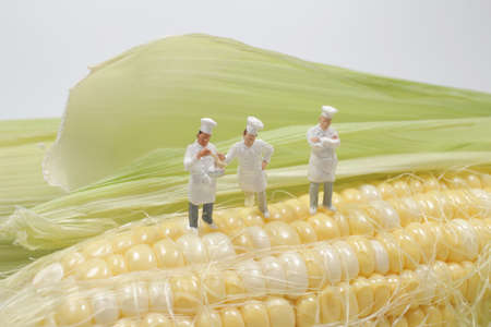 a group of figure chef on the corn