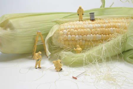 the mini of figure technochier work on the cornの写真素材