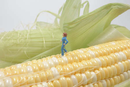 the mini runner run on the cornの写真素材