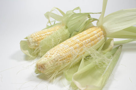 corn isolated on white background as package design element