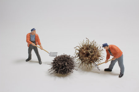 the Spiked Seed with the mini worker figure