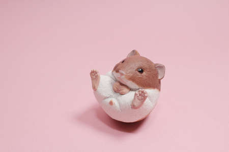 the mouse doll on the pink back groundの写真素材