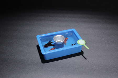Little goldfish & Koi in Ponds for goldfish scooping game