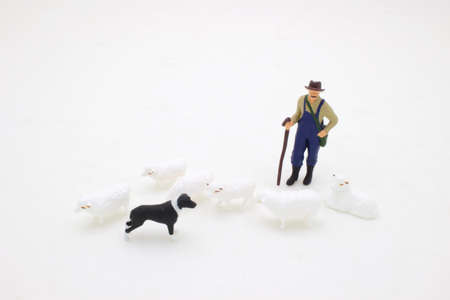 the mini Farmer and his Dog with the sheepの写真素材