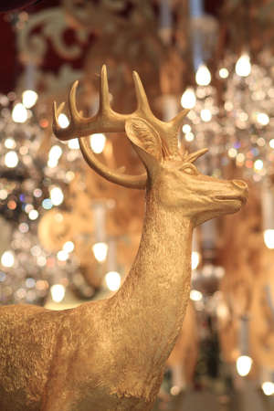 26 Dec 2011 the imgae of Christmas at hong kongの写真素材