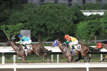 5 Nov 2011 Hong Kong horse racing - Shatin Racecourse Raceの写真素材