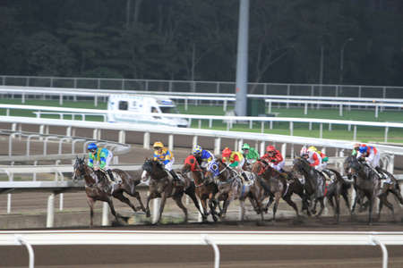 5 Nov 2011 Hong Kong horse racing - Shatin Racecourse Race