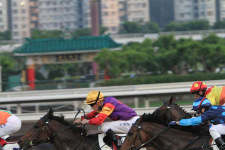 5 Nov 2011 Hong Kong horse racing - Shatin Racecourse Race