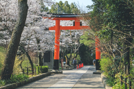 Ujigami shrine at spring day in Kyoto, Japan 9 April 2012のeditorial素材
