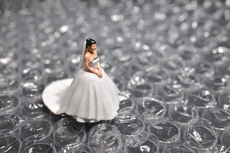 figure of Brideの写真素材