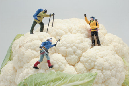 the figures ice climber on Whole Cauliflower Vegetableの写真素材