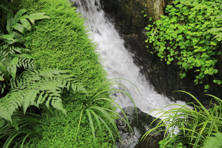 A small waterfall in a Japanese style gardenの写真素材