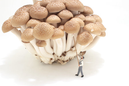 the farmer figure collect brown shimeji Mushroom