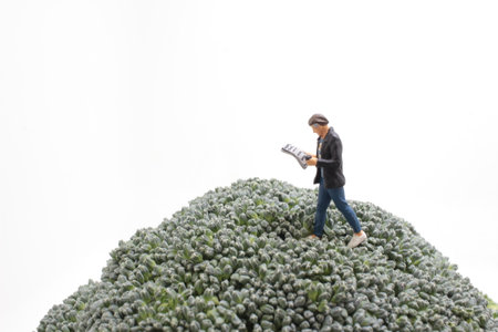 the fun of figure is reading on Broccoli