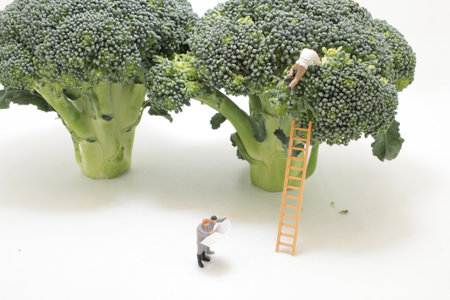 a Focus on one people claiming on broccoli.の写真素材