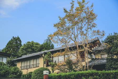 the Arashiyama on the outskirts of Kyoto, japan 2 Nov 2013の写真素材