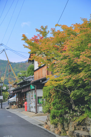 the Arashiyama on the outskirts of Kyoto, japan 2 Nov 2013