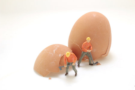 small model human figure cleaning broken of chicken shell