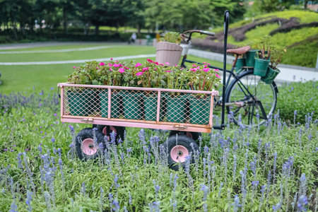 cheerful flower bed with a charming bicycle parkedの写真素材