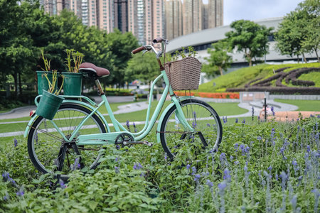 cheerful flower bed with a charming bicycle parked