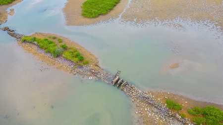the wetland at Nam Wai hong kong Aug 27 2023