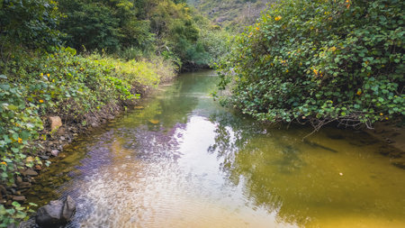 Feb 17 2024 the lake of Fa Peng bay, hkの写真素材