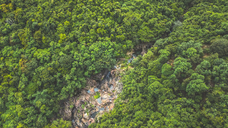 river in the mountains, top view of the mountain river,の写真素材