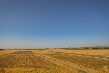 May 16 2024 Oita Field Farm, Cultivating Yufuin Sustainable Agriculture
