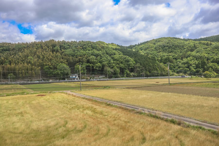 May 16 2024 Oita Field Farm, Cultivating Yufuin Sustainable Agricultureの写真素材