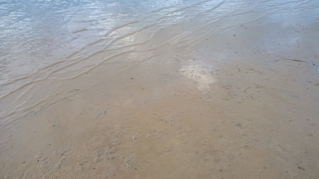 a squelchy mud, rial view of amazing natural shapes