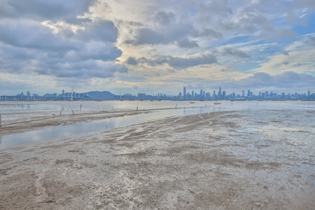 Aug 31 2024 Shenzhen Bay, Gateway to Modern Urban Landscapes
